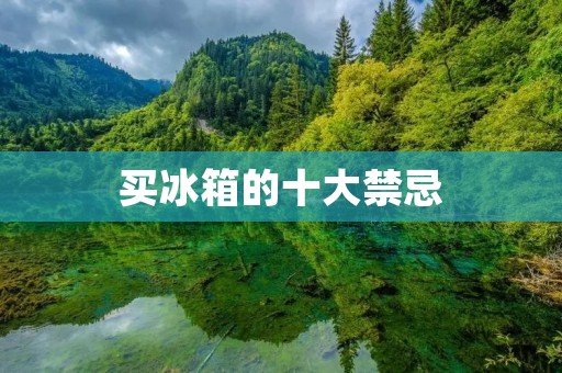 买冰箱的十大禁忌