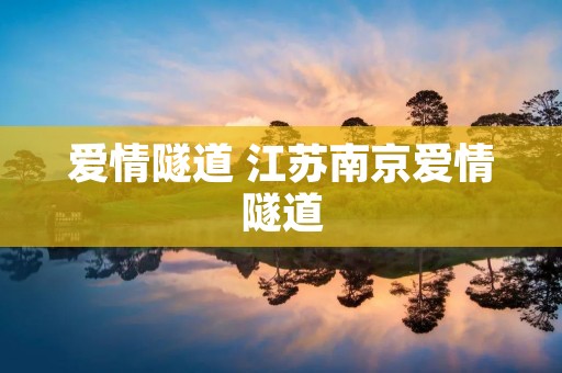 爱情隧道 江苏南京爱情隧道
