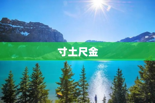 寸土尺金：如何在有限的空间中创造无限的价值