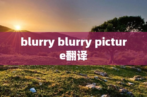blurry blurry picture翻译