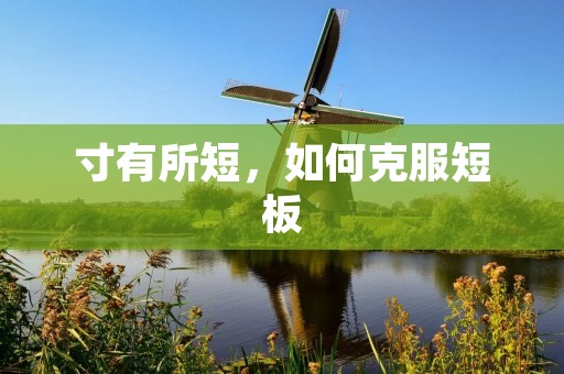 寸有所短,如何克服短板 寸有所短,如何克服短板