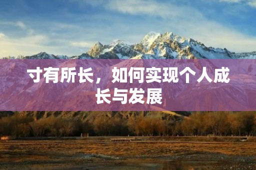 寸有所长，如何实现个人成长与发展