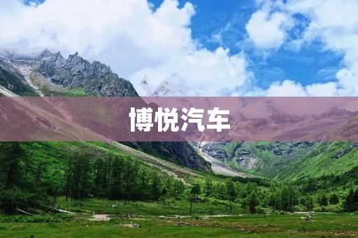 博悦汽车：国内高端豪华汽车品牌
