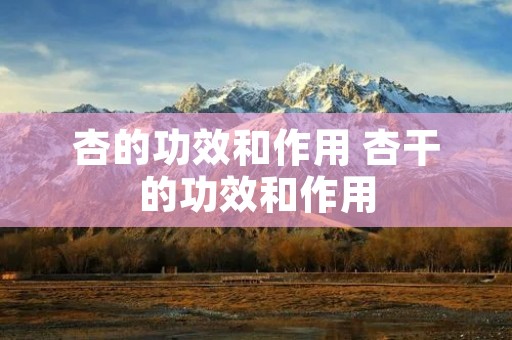杏的功效和作用 杏干的功效和作用