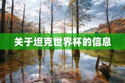 关于坦克世界杯的信息