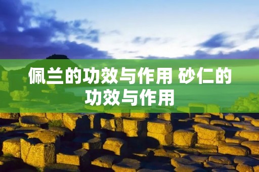 佩兰的功效与作用 砂仁的功效与作用