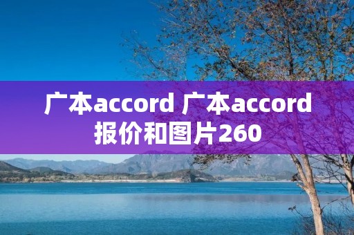广本accord 广本accord报价和图片260
