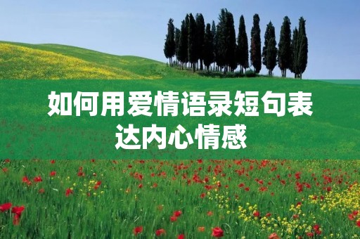 如何用爱情语录短句表达内心情感 如何用爱情语录短句表达内心情感