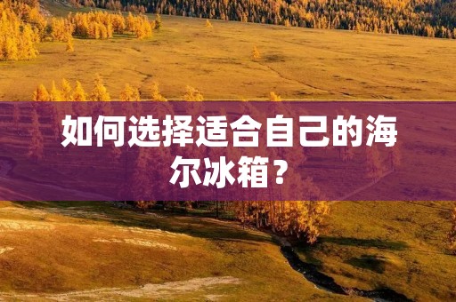 如何选择适合自己的海尔冰箱？