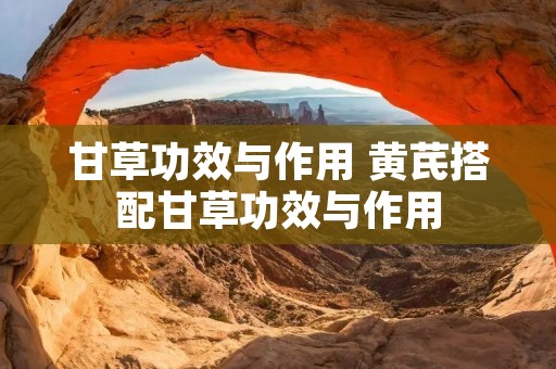 甘草功效与作用 黄芪搭配甘草功效与作用