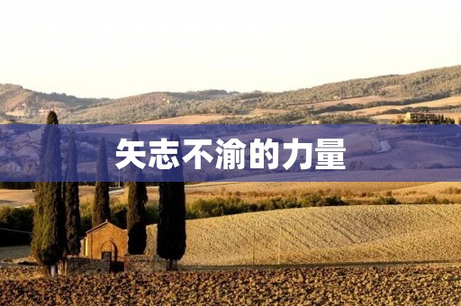矢志不渝的力量 矢志不渝的力量