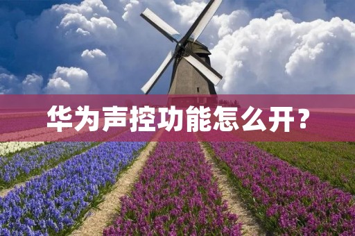 华为声控功能怎么开？