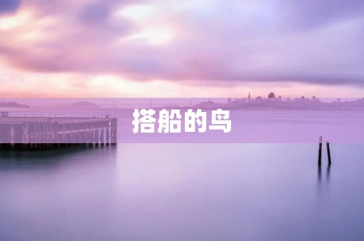 搭船的鸟:海洋中的奇妙旅行者 搭船的鸟:海洋中的奇妙旅行者