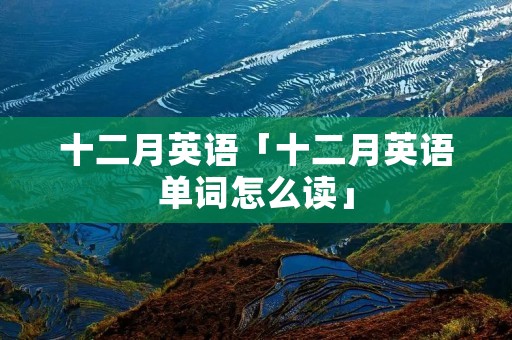 十二月英语「十二月英语单词怎么读」