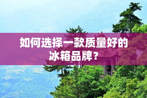 如何选择一款质量好的冰箱品牌? 如何选择一款质量好的冰箱品牌?