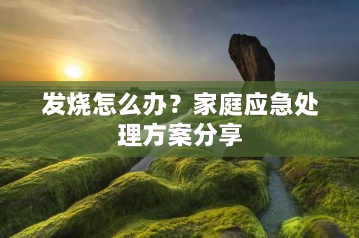 发烧怎么办?家庭应急处理方案分享 发烧怎么办?家庭应急处理方案分享