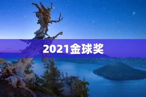 2021金球奖：电影与电视剧双料大奖揭晓