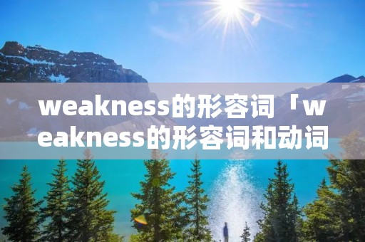 weakness的形容词「weakness的形容词和动词」