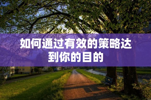如何通过有效的策略达到你的目的 如何通过有效的策略达到你的目的