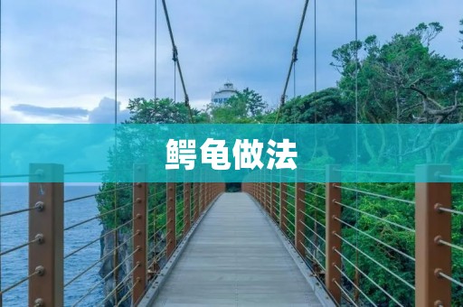 鳄龟做法:美味可口的鳄龟肉怎么做? 鳄龟做法:美味可口的鳄龟肉怎么做?