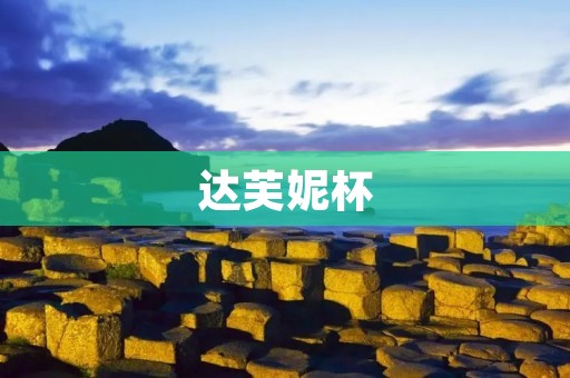 达芙妮杯：中国女子篮球联赛的领跑者