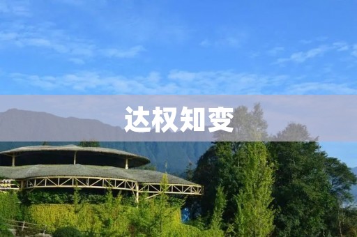 达权知变:如何应对不确定性的商业挑战 达权知变:如何应对不确定性的商业挑战