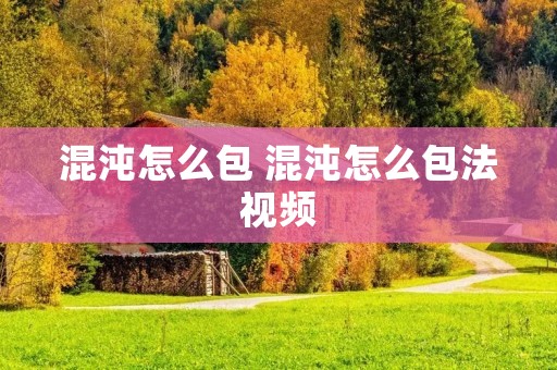 混沌怎么包 混沌怎么包法视频