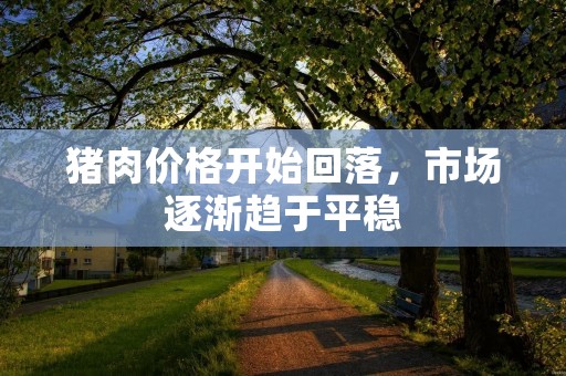 猪肉价格开始回落,市场逐渐趋于平稳