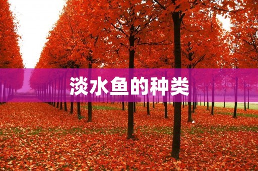 淡水鱼的种类