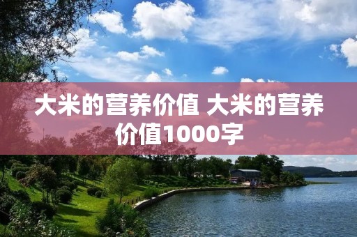 大米的营养价值 大米的营养价值1000字