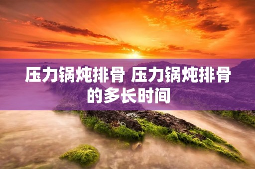 压力锅炖排骨 压力锅炖排骨的多长时间 压力锅炖排骨 压力锅炖排骨的多长时间