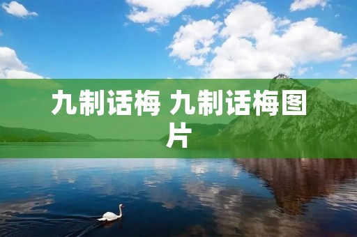 九制话梅 九制话梅图片