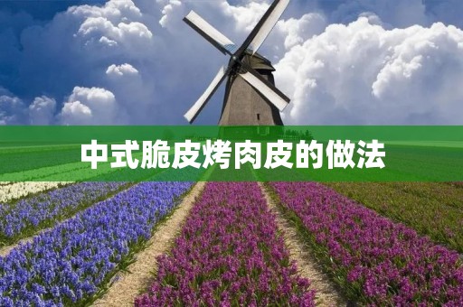 中式脆皮烤肉皮的做法 中式脆皮烤肉皮的做法