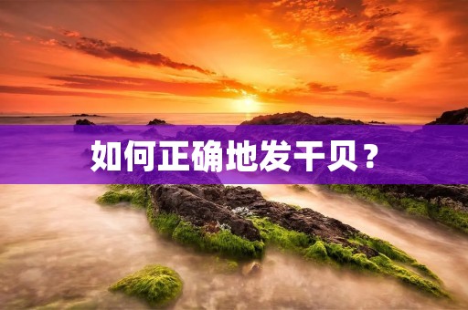 如何正确地发干贝? 如何正确地发干贝?