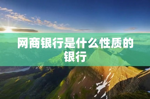 网商银行是什么性质的银行