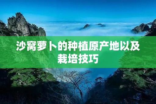 沙窝萝卜的种植原产地以及栽培技巧