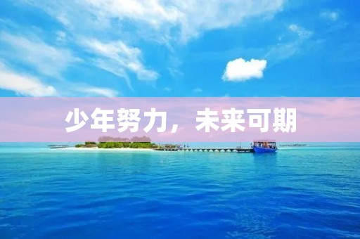 少年努力,未来可期
