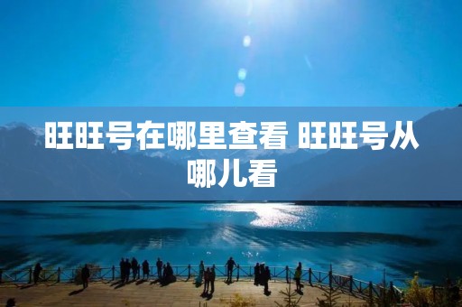 旺旺号在哪里查看 旺旺号从哪儿看