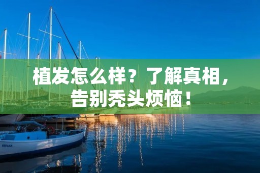 植发怎么样？了解真相，告别秃头烦恼！