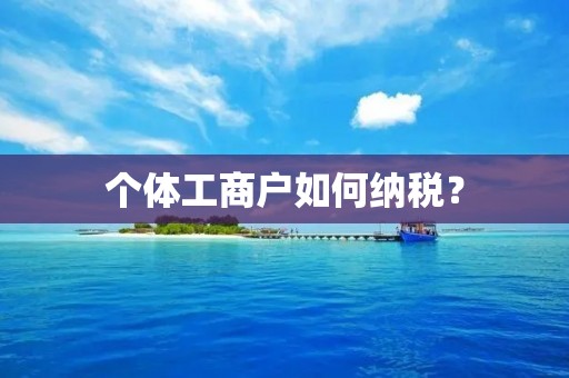 个体工商户如何纳税? 个体工商户如何纳税?