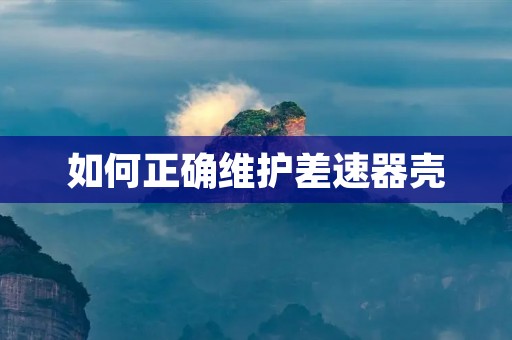 如何正确维护差速器壳 如何正确维护差速器壳
