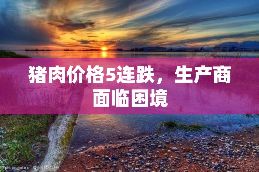猪肉价格5连跌,生产商面临困境 猪肉价格5连跌,生产商面临困境