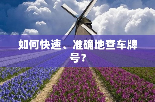 如何快速、准确地查车牌号？