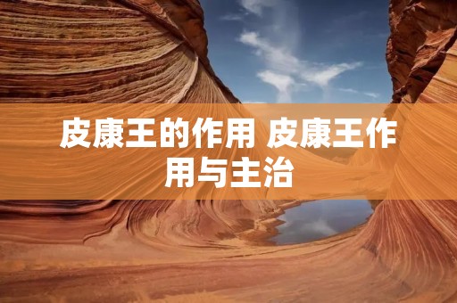 皮康王的作用 皮康王作用与主治