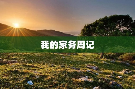 我的家务周记 我的家务周记