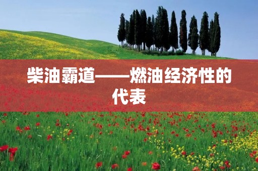 柴油霸道——燃油经济性的代表 柴油霸道——燃油经济性的代表