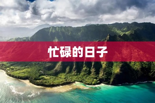 忙碌的日子