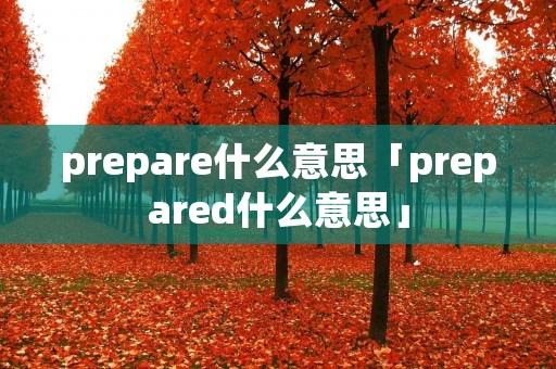 prepare什么意思「prepared什么意思」