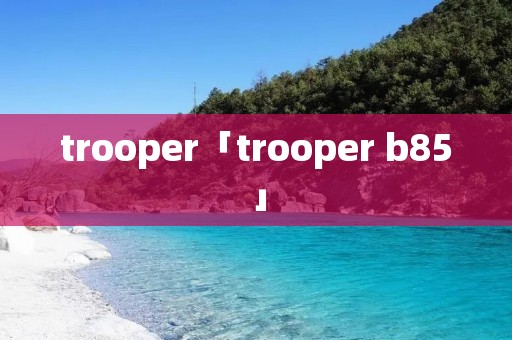 trooper「trooper b85」
