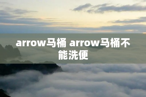 arrow马桶 arrow马桶不能洗便 arrow马桶 arrow马桶不能洗便